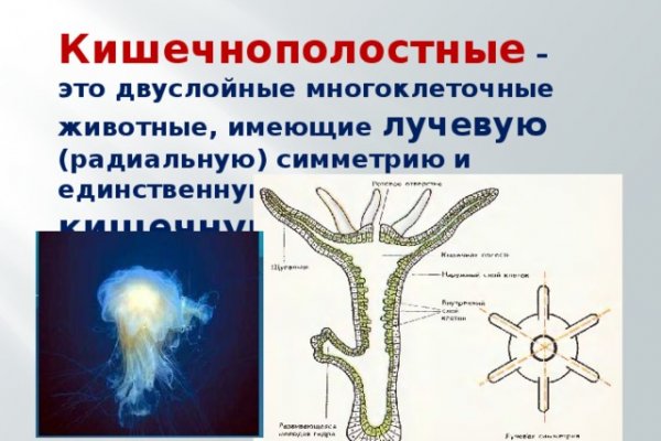 Как зайти через blacksprut torbazah