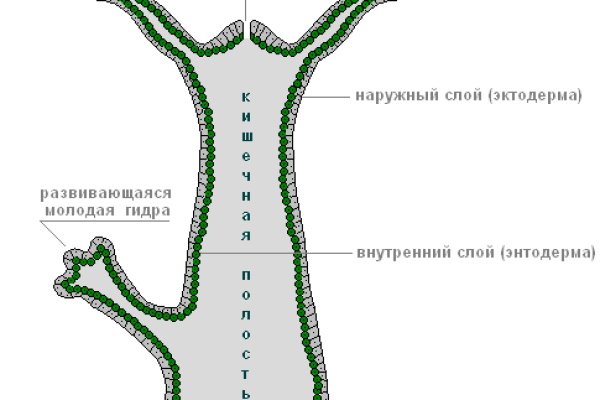 Как зайти через blacksprut torbazah