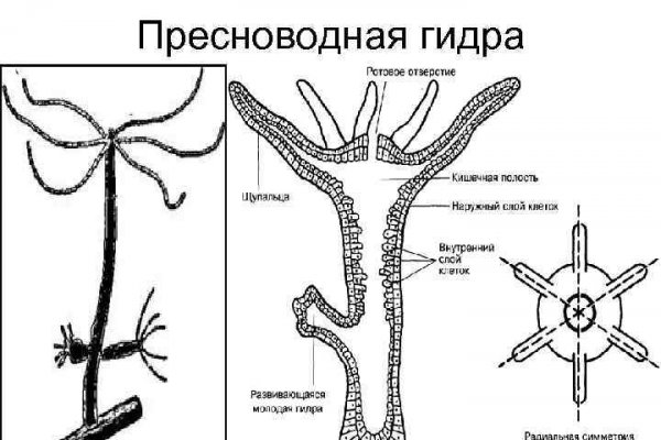 Зеркала для тор браузера blackprut com