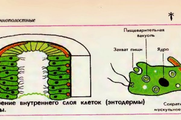 Ссылка на blacksprut в тор браузер