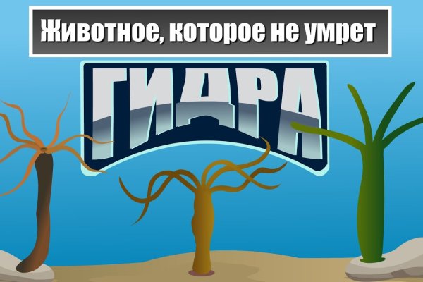 Блэкспрут маркетплейс