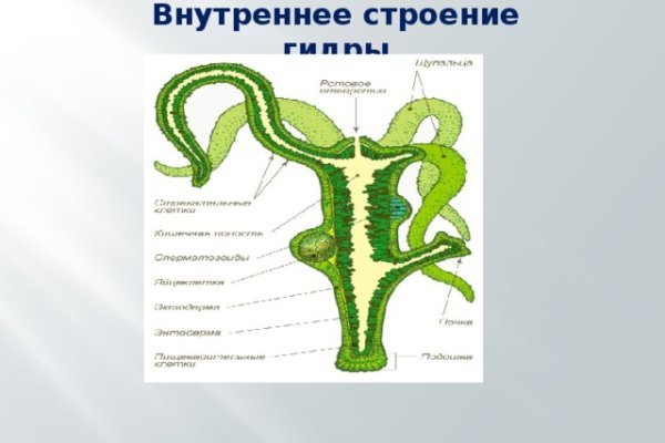 Официальная ссылка на blacksprut 1blacksprut me